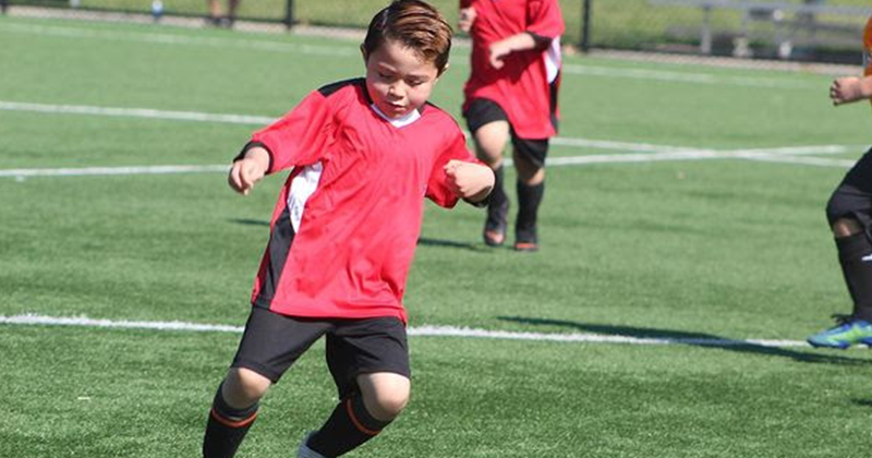 U7 Sharks